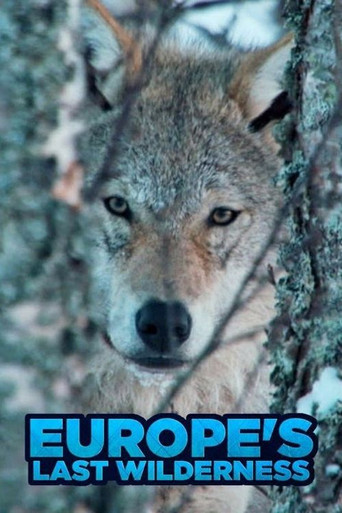 Movie poster for Europe's Last Wilderness (2017)