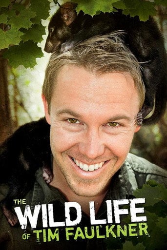 Series poster for The Wild Life of Tim Faulkner (2013)