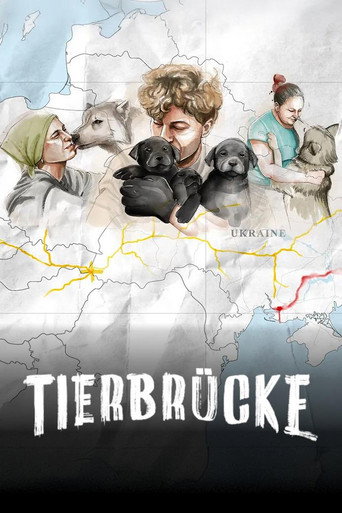 Series poster for Die Tierbrücke (2025)