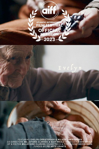 Movie poster for Evelyn (2023)
