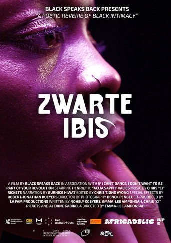 Movie poster for Black Ibis (2024)