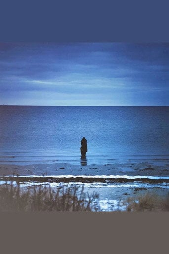 Movie poster for Steven Wilson: Catalogue / Preserve / Amass (2026)