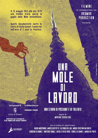 Movie poster for Una Mole di lavoro (2026)