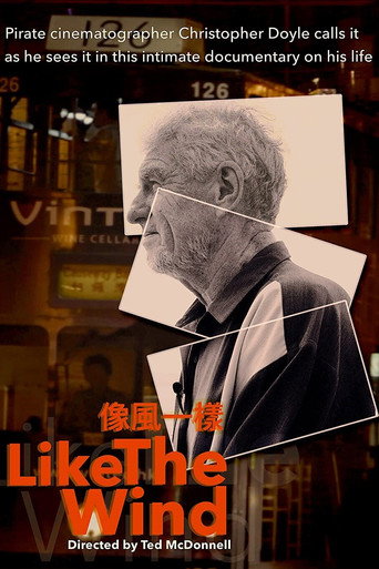 Movie poster for Like the Wind (2021)
