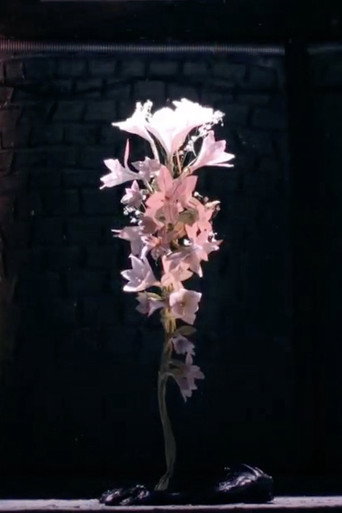 Movie poster for A brightening life (2010)