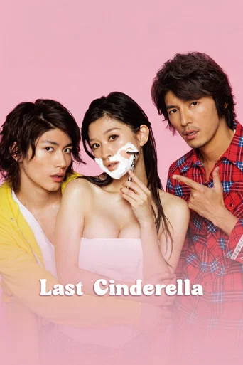 Series poster for The Last Cinderella (2013)