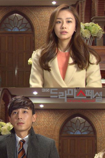 The Wedding Planner poster