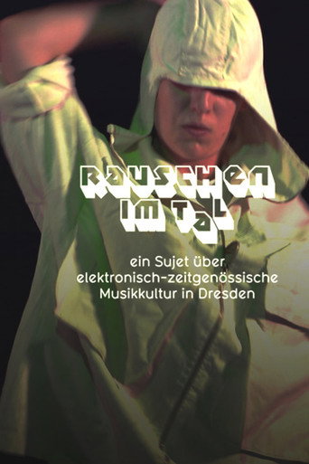 Movie poster for Rauschen im Tal
