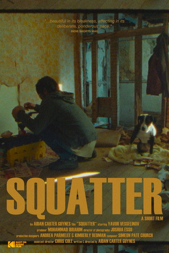 Movie poster for Squatter