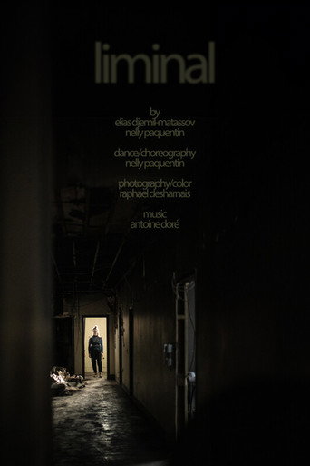 Movie poster for liminal (2024)