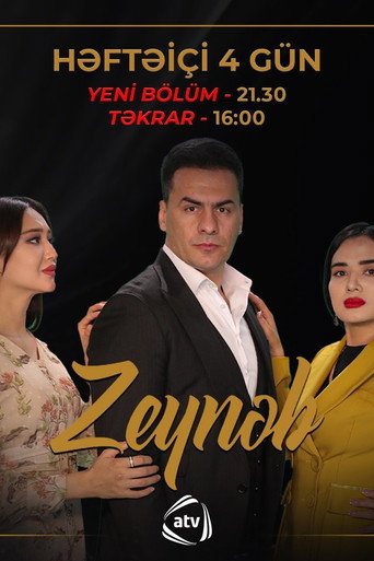 Series poster for Zeynab (2024)