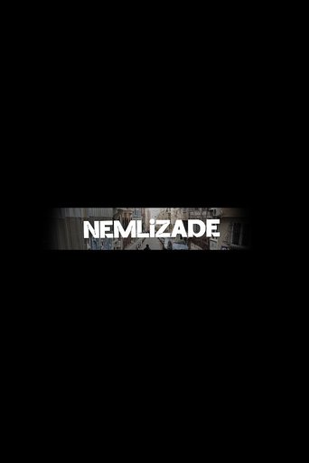 Nemlizade poster