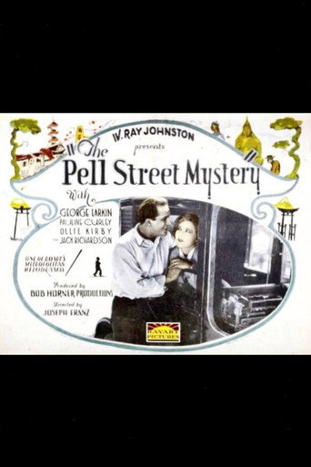 Movie poster for The Pell Street Mystery (1924)