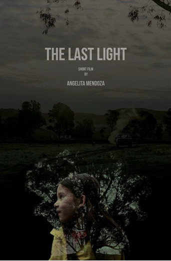 Movie poster for The Last Light (2017)