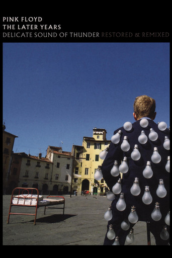 Pink Floyd: The Later Years, Vol 2 - Delicate Sound of Thunder poster