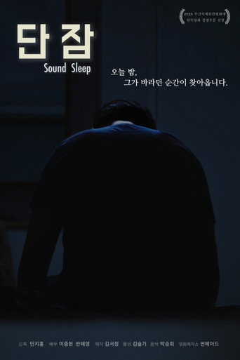 Movie poster for Sound Sleep (2025)