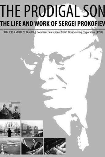 Movie poster for The Prodigal Son (1991)