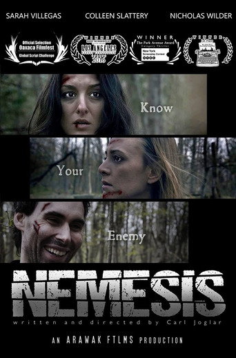 Movie poster for Nemesis (2017)