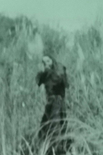 Movie poster for Aswang 1933 (2017)