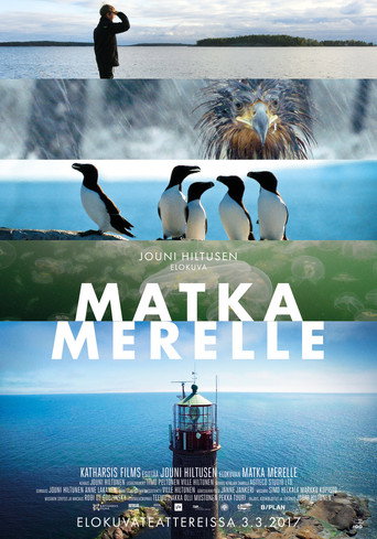 Movie poster for The Gulf of Finland (2017)