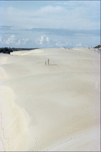 Movie poster for Itaúnas: Ecological Disaster (1979)