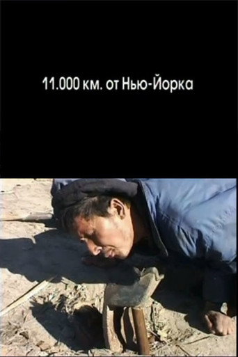 Movie poster for 11.000 km from New York (2006)