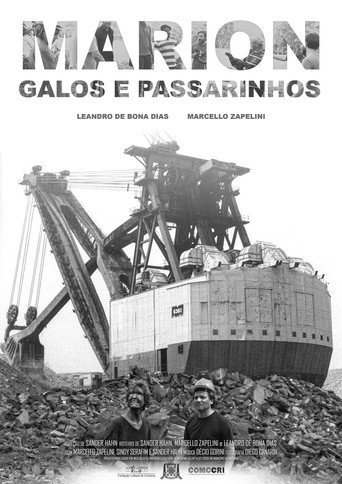 Movie poster for Marion, Galos e Passarinhos (2021)