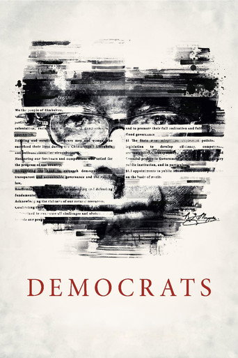 Movie poster for Democrats (2014)
