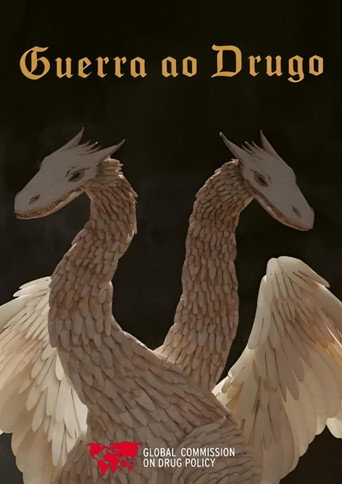 Movie poster for The War On Drugo (2014)