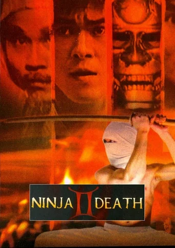 Movie poster for Ninja Death 2 (1987)