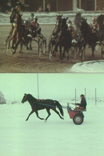 Movie poster for The Race (1981)