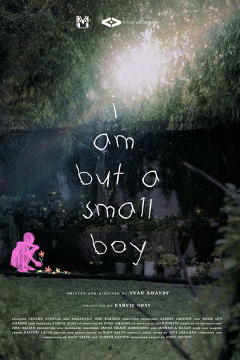 Movie poster for i am but a small boy