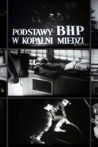 Movie poster for The Principles of Safety and Hygiene in a Copper Mine (1972)