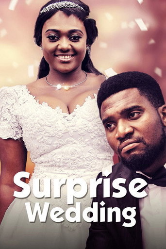 Movie poster for Surprise Wedding (2017)