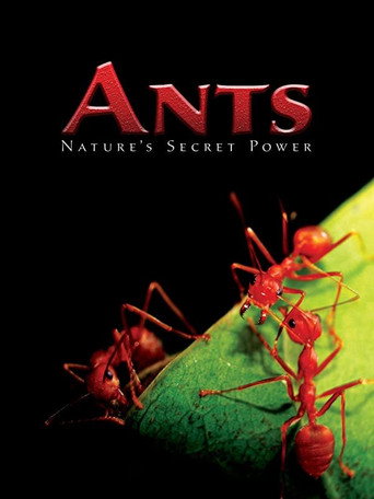 Movie poster for Ants - Nature's Secret Power (2004)