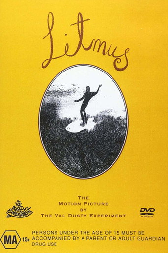 Movie poster for Litmus: A Surfing Odyssey (1996)