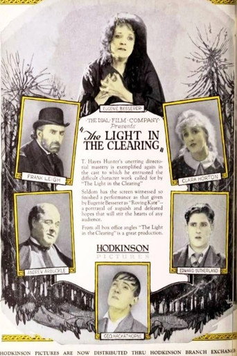 The Light in the Clearing poster