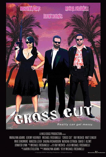 Movie poster for Cross Cut (2015)