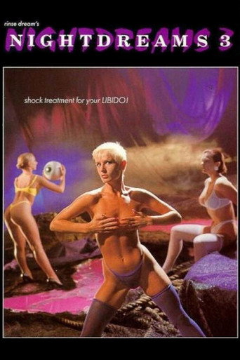 Movie poster for Nightdreams 3 (1991)