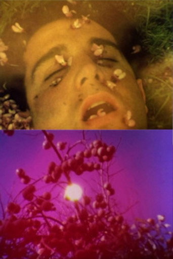 Movie poster for Aurore (1989)