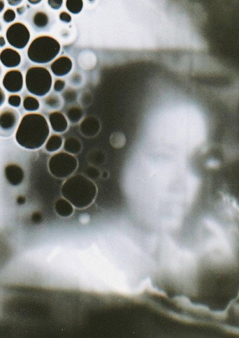 Movie poster for Emulsion Painter (2009)