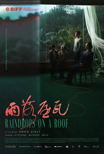 Raindrops on a Roof poster