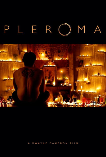 Pleroma poster