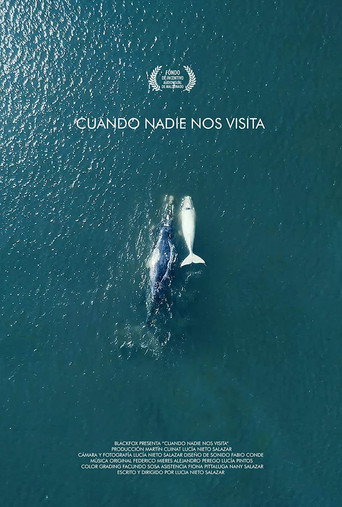 Movie poster for Cuando nadie nos visita (2018)