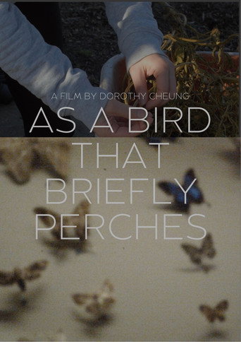 Movie poster for as a bird that briefly perches (2025)