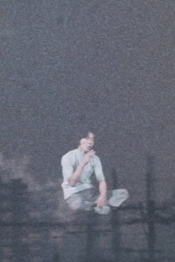 Movie poster for At Any Place 5 (1978)