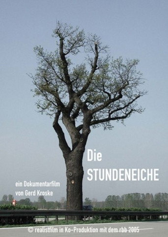 Movie poster for The Hour Oak (2006)