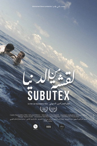 Movie poster for Subutex (2018)