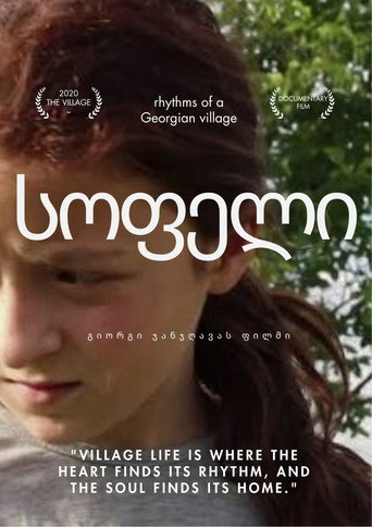 Movie poster for The village