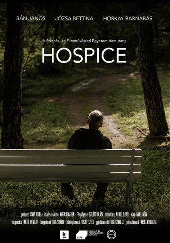 Movie poster for Hospice